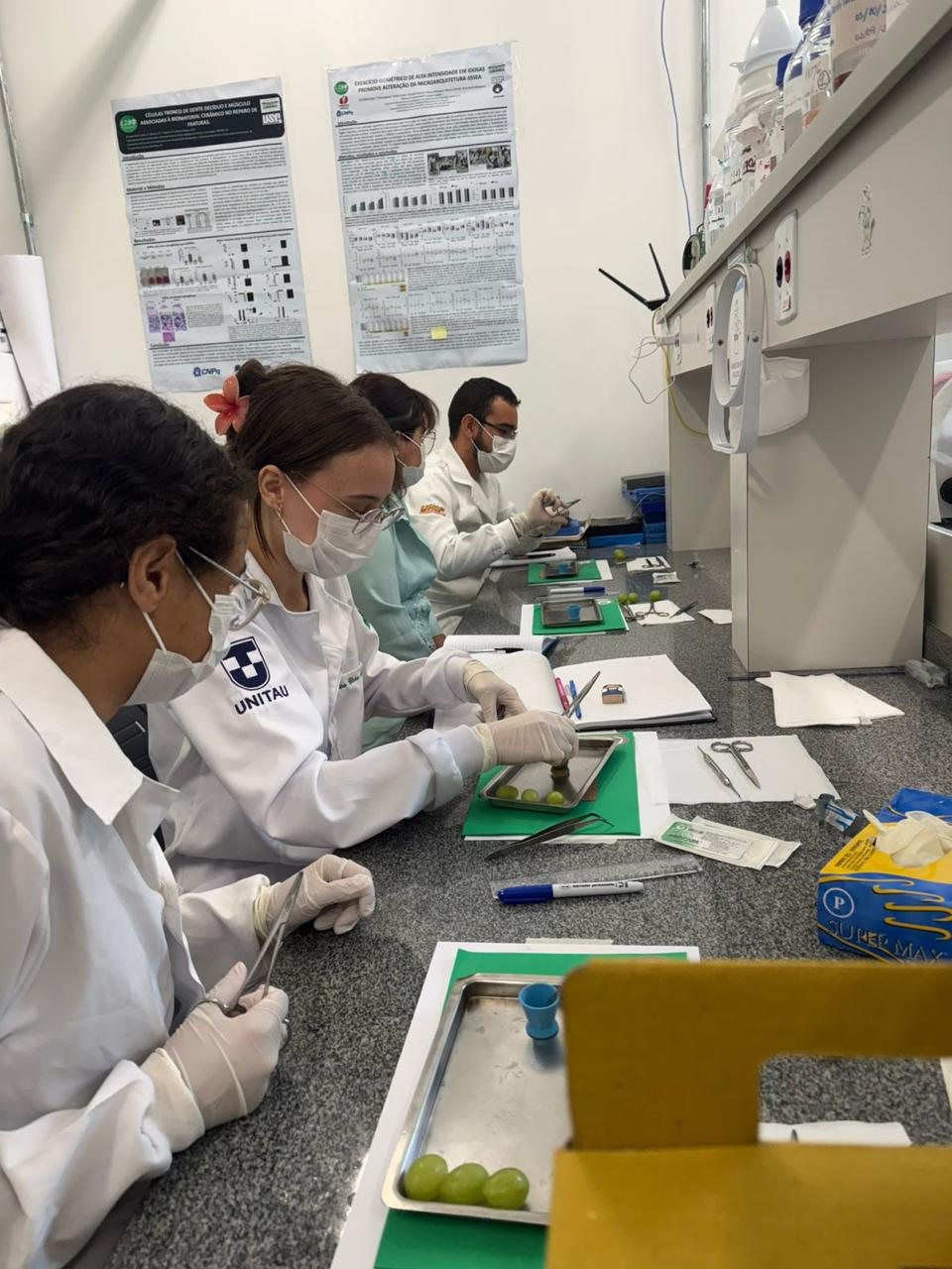 BBLab students working in a laboratory bench training session